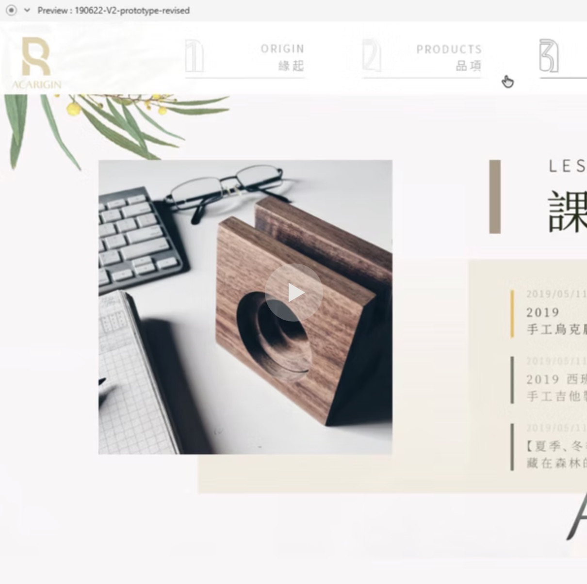 Acarigin interface preview